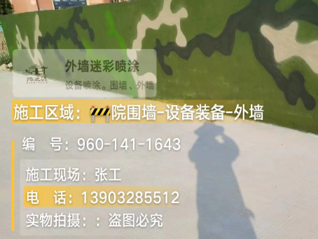 蓟州 迷彩漆喷涂价格（按平方米计费）